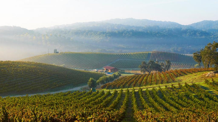 Domaine Dujac – Clos Saint-Denis Grand Cru 2020 - Magnum