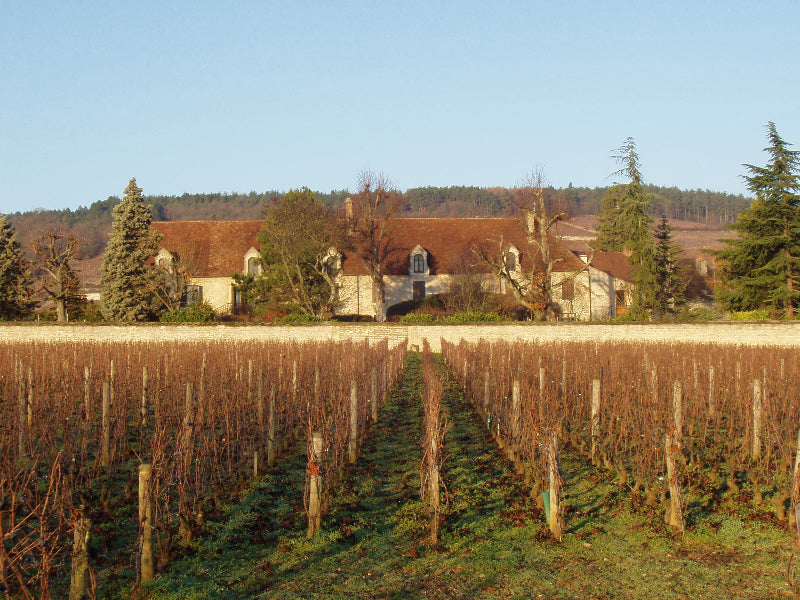 Domaine Dujac – Clos Saint-Denis Grand Cru 2020 - Magnum