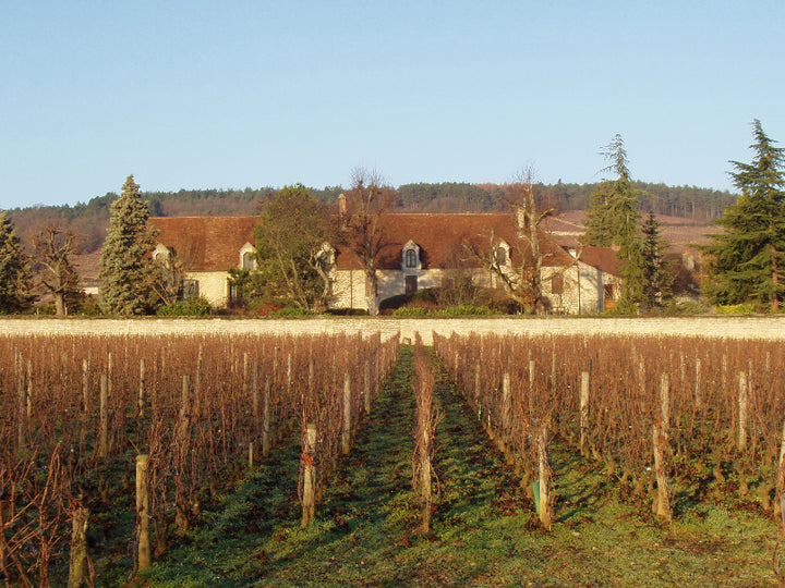 Domaine Dujac – Clos Saint-Denis Grand Cru 2020 - Magnum
