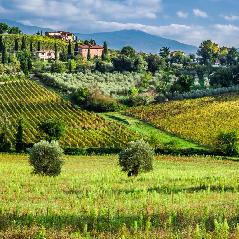 Frankie's Supper Club: A Taste of Central Italy