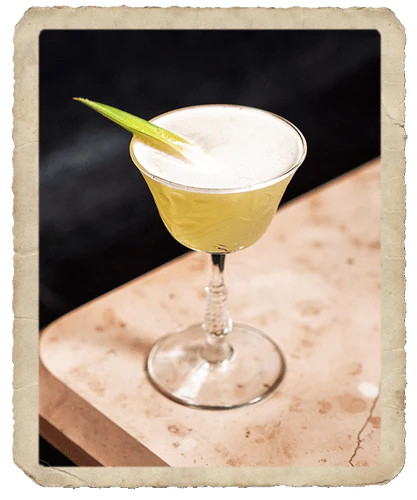 Tequila Daisy Kit