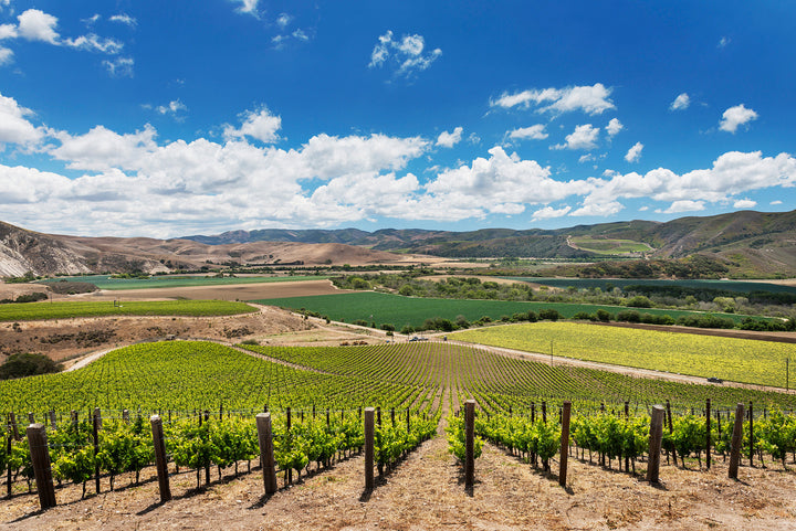 Domaine de la Côte – ‘Bloom’s Field’ Pinot Noir 2022