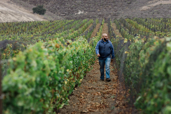 Domaine de la Côte – ‘Bloom’s Field’ Pinot Noir 2022