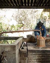Mezcal Vago Cuixe